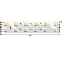 Светодиодная лента DesignLed DSG5120-24-RGB+NW-33 001205