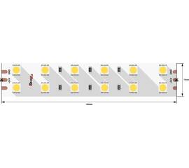 Светодиодная лента DesignLed DSG5120-24-W+WW-33 000515