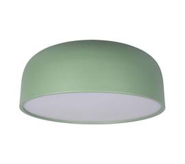 Потолочный светодиодный светильник Loft IT Axel 10201/480 Green