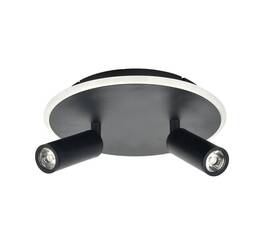Потолочный светодиодный светильник Escada 20046SMA/02LED BK