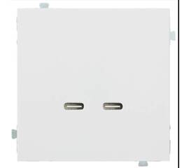 Механизм USB-зарядного устройства С/C, 60 Вт Rikett (32382)