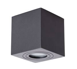 Потолочный светильник Arte Lamp Galopin A1461PL-1BK
