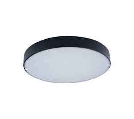 Потолочный светодиодный светильник Loft IT Axel 10002/24 black