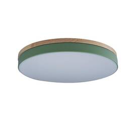 Потолочный светодиодный светильник Loft IT Axel 10001/36 green