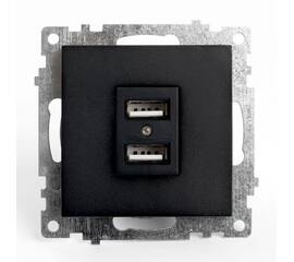 Розетка 2хUSB Stekker Катрин черный GLS10-7115-05 39616