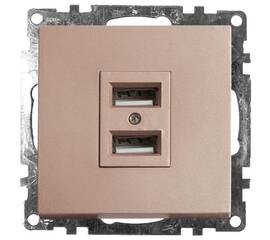 Розетка 2хUSB Stekker Катрин шампань GLS10-7115-02 39602