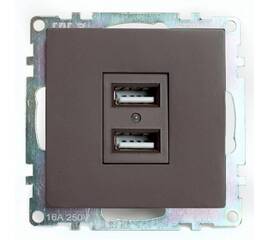 Розетка двухместная USB Stekker Катрин шоколад GLS10-7115-04 49027