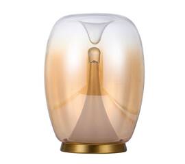 Настольная лампа Divinare Campo 5875/07 TL-15