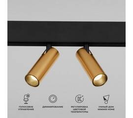 Трековый светодиодный светильник Elektrostandard Slim Magnetic Dim Dual 85056/01 латунь a063527
