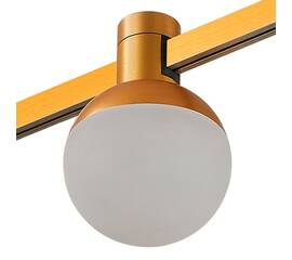 Трековый светодиодный светильник ST Luce Farm ST815.206.05