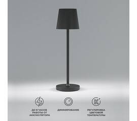 Настольная светодиодная лампа Elektrostandard Mist TL70220 черный a063970