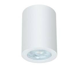 Потолочный светильник Arte Lamp Tino A1468PL-1WH
