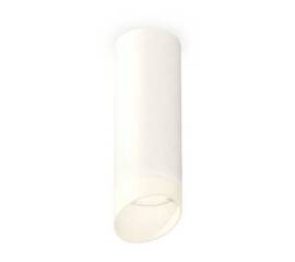 Комплект потолочного светильника Ambrella light Techno Spot XC (C6342, N6256) XS6342044