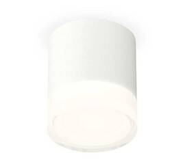 Комплект потолочного светильника Ambrella light Techno Spot XS (C7401, N7160) XS7401043