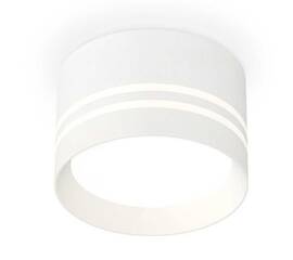 Комплект накладного светильника Ambrella light Techno Spot XS (C8101, N8477) XS8101021
