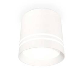 Комплект накладного светильника Ambrella light Techno Spot XS (C8110, N8477) XS8110007