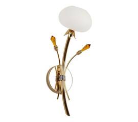 Бра Abrasax 6498-А1.11