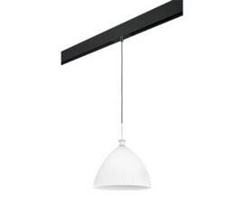 Трековый светильник Lightstar Agola (810030+595007) PRO810030