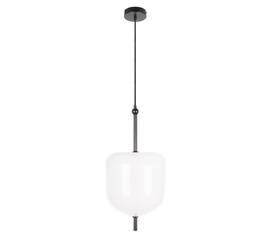 Подвесной светодиодный светильник Loft IT Venice 10223/D White