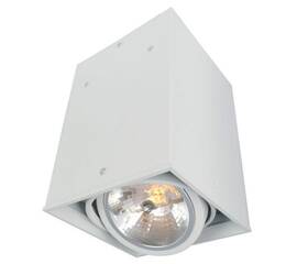 Потолочный светильник Arte Lamp Cardani A5936PL-1WH