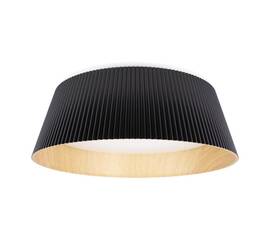 Потолочный светодиодный светильник Loft IT Evans 10224 Black
