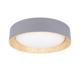 Потолочный светодиодный светильник Loft IT Coin 10202 Grey