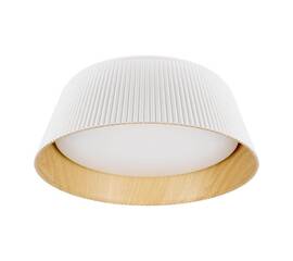 Потолочный светодиодный светильник Loft IT Evans 10224 White