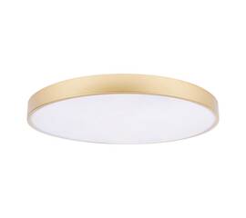 Потолочный светодиодный светильник Loft IT Flims 10228/B
