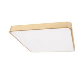 Потолочный светодиодный светильник Loft IT Flims 10228/D