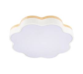 Потолочный светодиодный светильник Loft IT Axel 10225/36 White