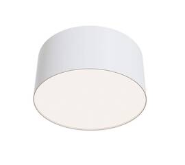 Потолочный светильник Maytoni Technical Ceiling & Wall C032CL-12W4K-RD-W