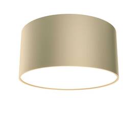 Потолочный светодиодный светильник Maytoni Technical Zon C032CL-12W4K-RD-MG