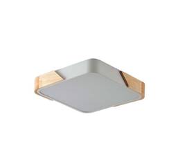 Потолочный светильник Zortes ALBERRO ZRS.01285.48