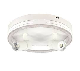 Потолочный светодиодный светильник Escada 20044SMA/03LED WH