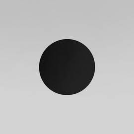 Настенный светильник TK Lighting 6012 Luna Black