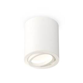 Потолочный светильник Ambrella Light Techno Spot XS7421001 (C7421, N7001)