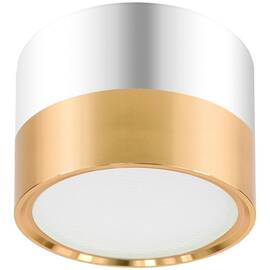 Накладной светильник ЭРА OL7 GX53 GD/CH Б0048532