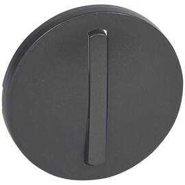 Лицевая панель Legrand Celiane выключателя одноклавишного графит 065201