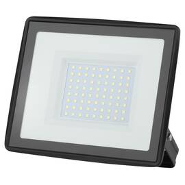 Прожектор Эра LPR-023-0-65K-100 Б0052026