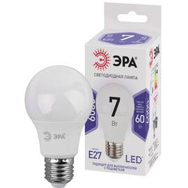 Лампа светодиодная Эра E27 7W 6000K LED A60-7W-860-E27 Б0044087