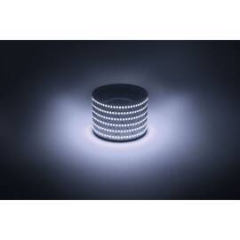 Светодиодная лента Эра 12В 2835 19,2Вт/м 6500K 5м IP20 LS2835-19,2-240-12-6500K-IP20-1 year-5m Б0059