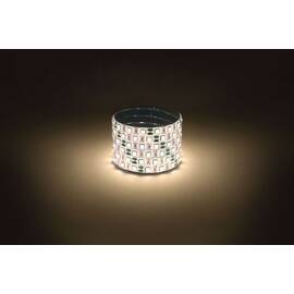 Светодиодная лента Эра 12В 5050 14,4Вт/м 3000K 5м IP65 LS5050-14,4-60-12-3000K-IP65-1 year-5m Б00599