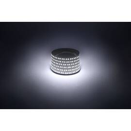 Светодиодная лента Эра 12В 2835 14,4Вт/м 6500K 5м IP20 LS2835-14,4-180-12-6500K-IP20-1 year-5m Б0059