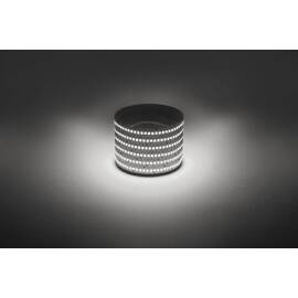 Светодиодная лента Эра 12В 2835 19,2Вт/м 4000K 5м IP20 LS2835-19,2-240-12-4000K-IP20-1 year-5m Б0059