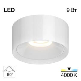 Накладной светильник Citilux Rover CL743090N