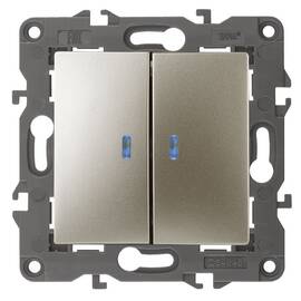 Выключатель двойной с подсветкой Эра 14-1105-04 Б0034240