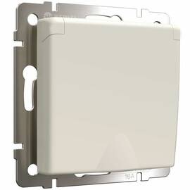 Розетка с заземлением и шторками c крышкой Werkel 4690389213175 W1171262