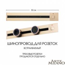 Встраиваемый шинопровод с выключателем Arte Milano Am-track-sockets 385205TBB/50 Gold
