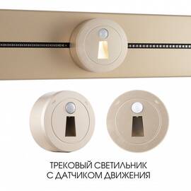 Трековая подсветка Arte Milano Am-track-sockets 397953TLS/LWS Gold