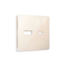 Лицевая панель для розетки 2USB тип A+C Ambrella Volt Alfa AP3110